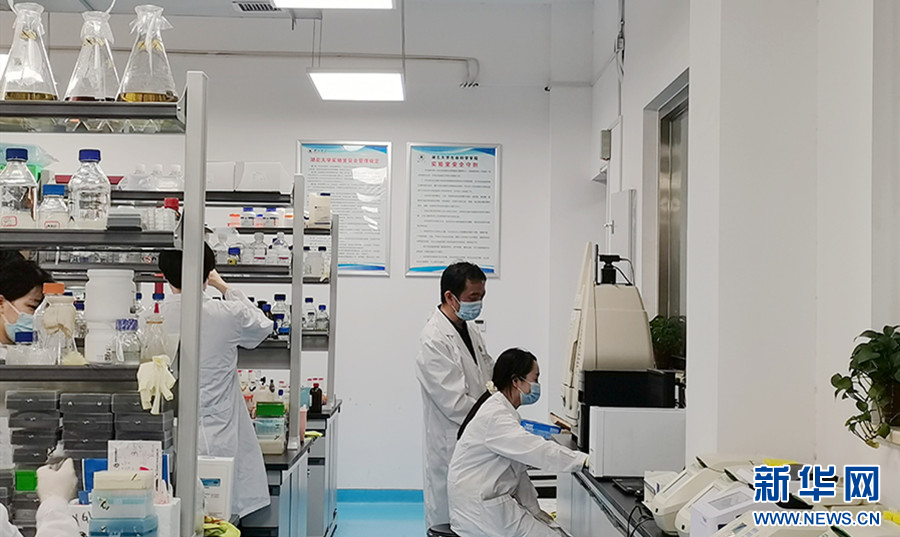 聚焦高質(zhì)量發(fā)展 加速產(chǎn)學(xué)研用融合，湖北競(jìng)逐合成生物產(chǎn)業(yè)新藍(lán)海